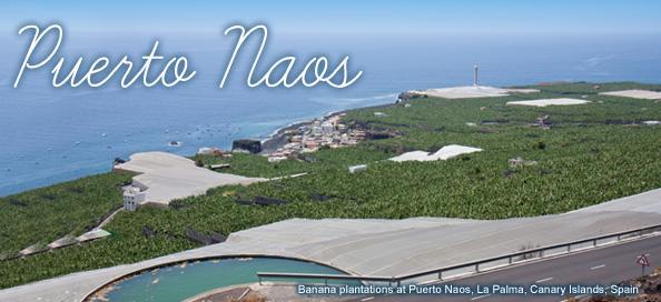 Puerto Naos Apartment Puerto De Naos ภายนอก รูปภาพ
